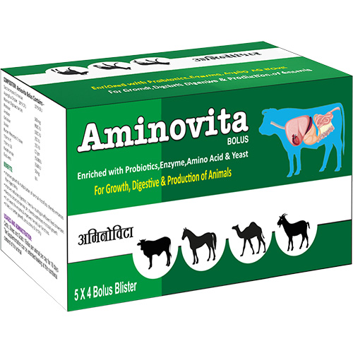 AminoVita Bolus