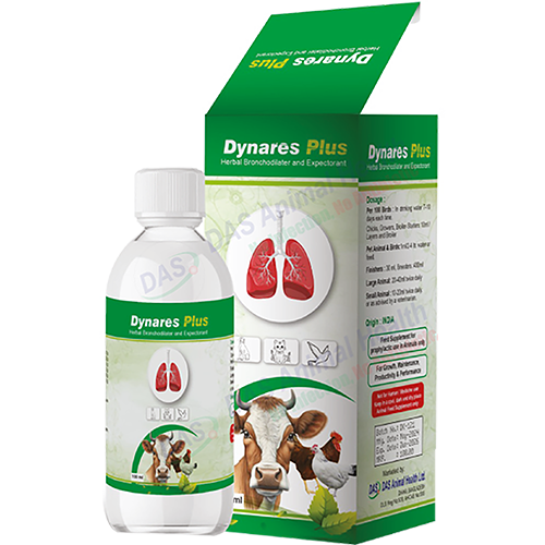 DYNARES PLUS